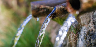 Aus mehreren Quellen schöpfen – Programm INTR°A-Tagung 2019