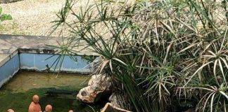 INTR°A-Tagung 2020 „Jenseits konfessioneller Grenzen“ – Spannender Auftakt zur Diskussion einer pluralistischen Religionspädagogik