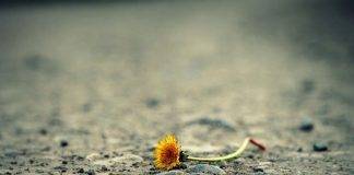 Verletzlichkeit und vulnerable Situationen im Klassenzimmer