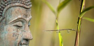 Hermann Hesse „Siddharta. Eine indische Dichtung“