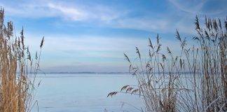 Der Ort der Muße in unserem Leben